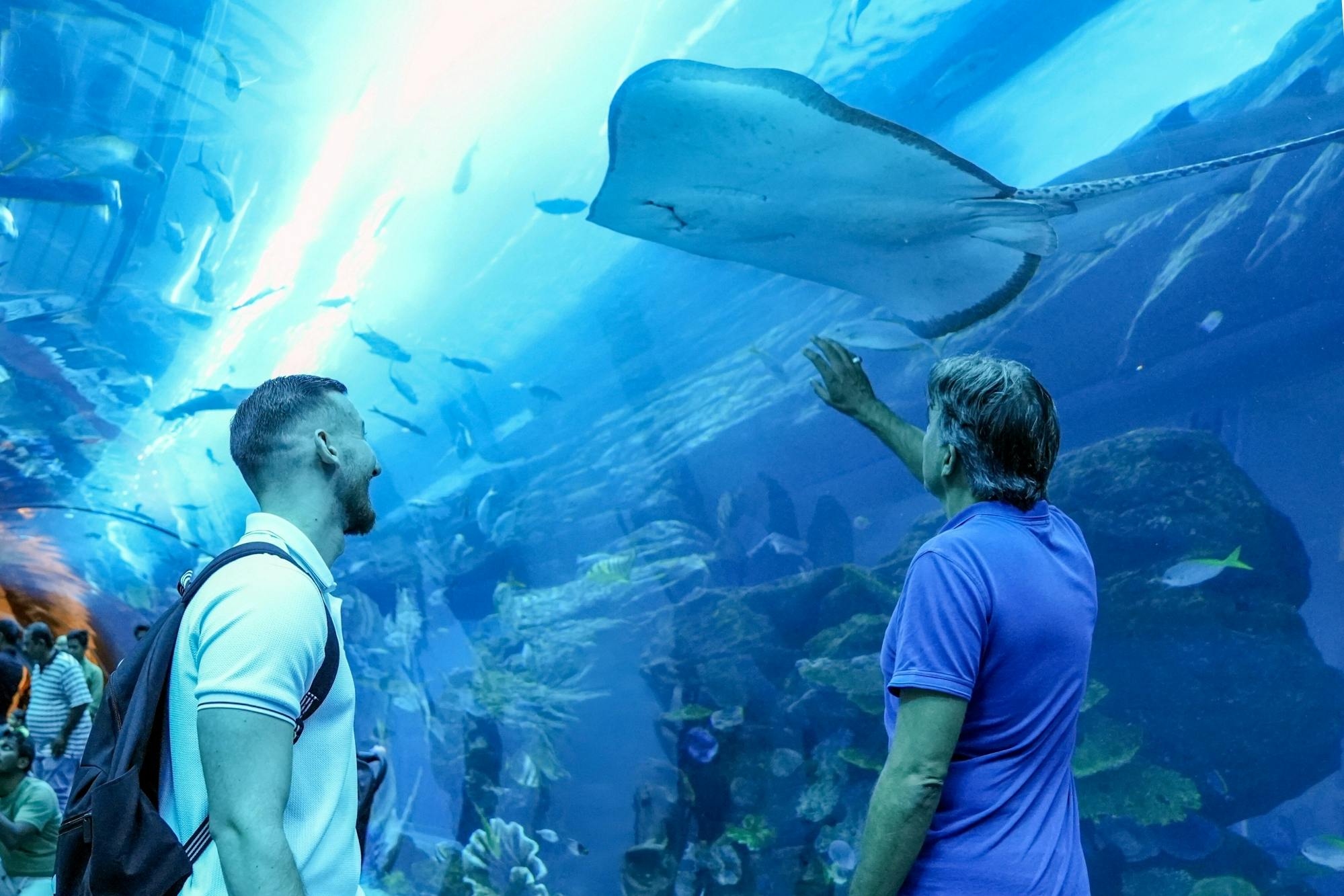 Tickets to the Lanzarote Aquarium in Costa Teguise