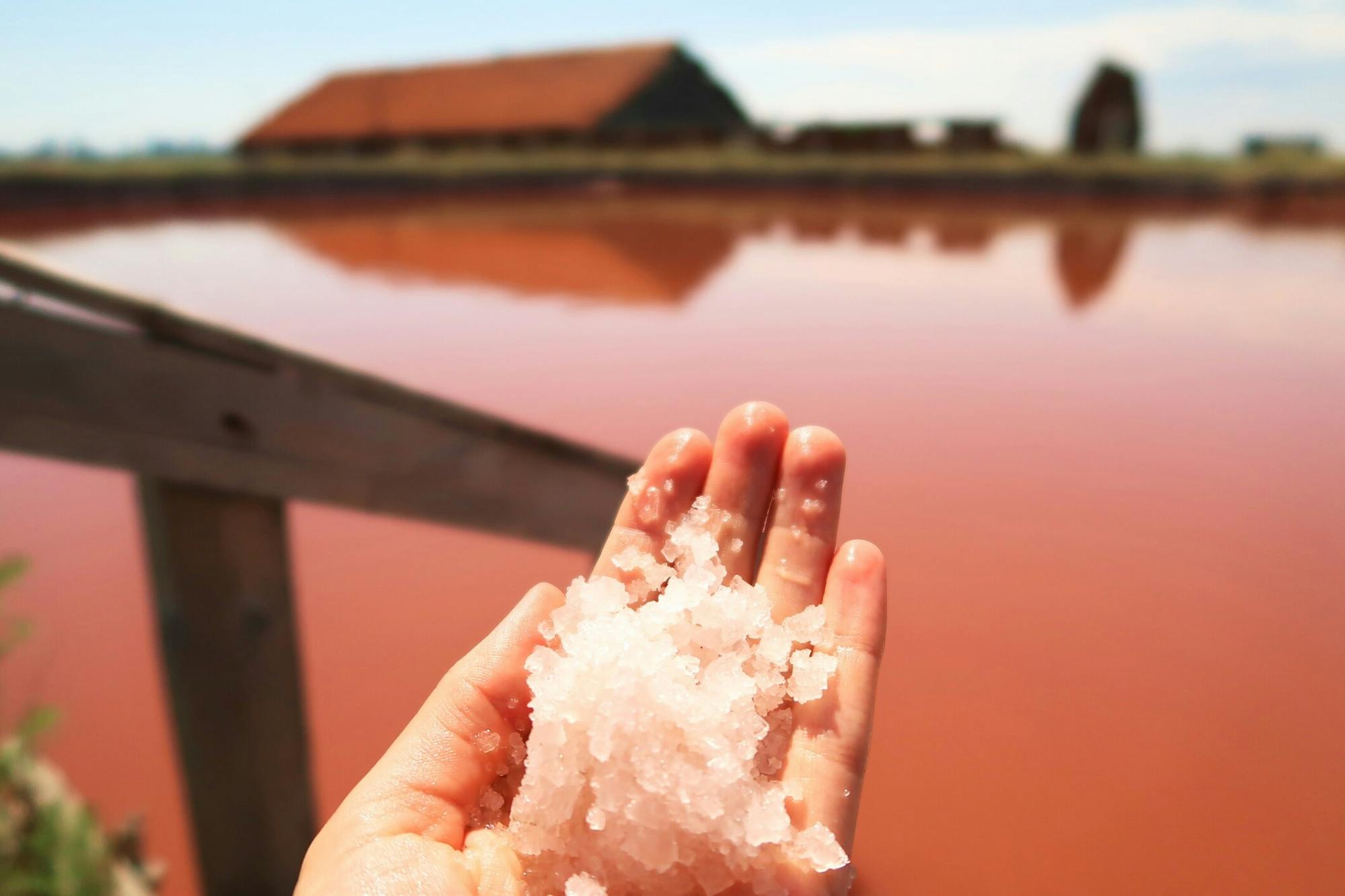 Burgas salt lagoon and natural mud experience