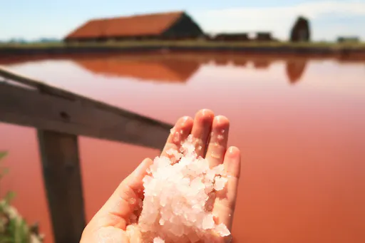 Burgas salt lagoon and natural mud experience