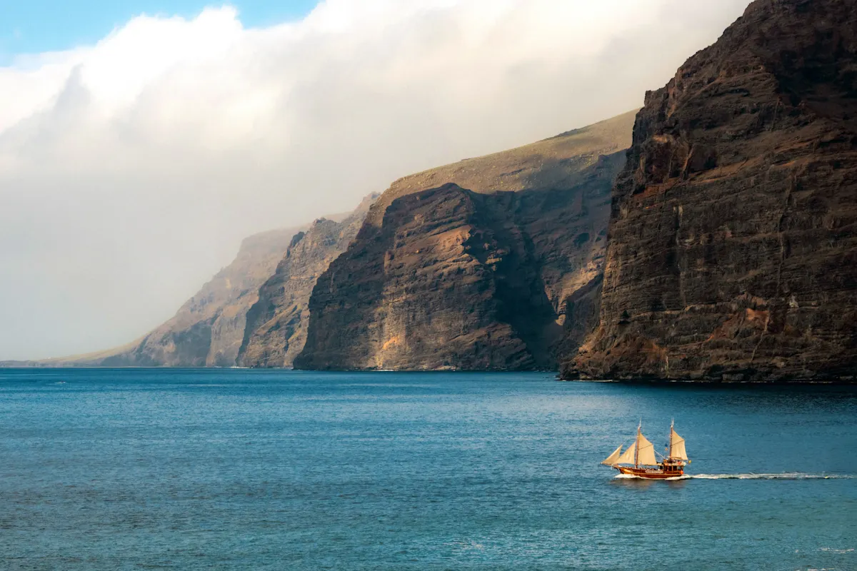 Los Gigantes Flipper Uno dolphin and whale-watching cruise