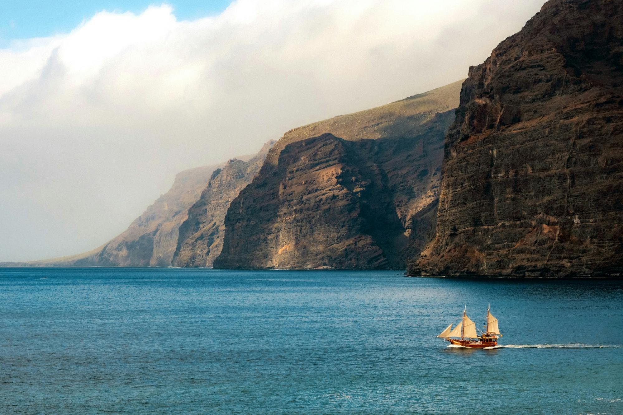 Los Gigantes Flipper Uno dolphin and whale-watching cruise