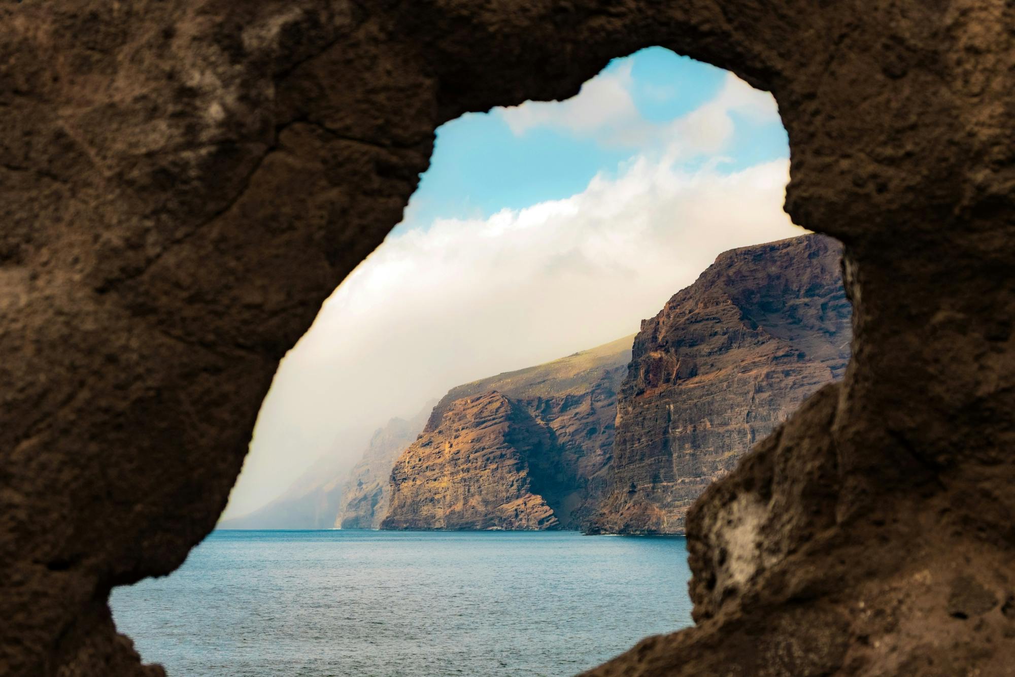 Los Gigantes Flipper Uno dolphin and whale-watching cruise