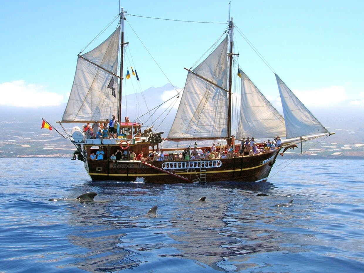 Los Gigantes Flipper Uno dolphin and whale-watching cruise