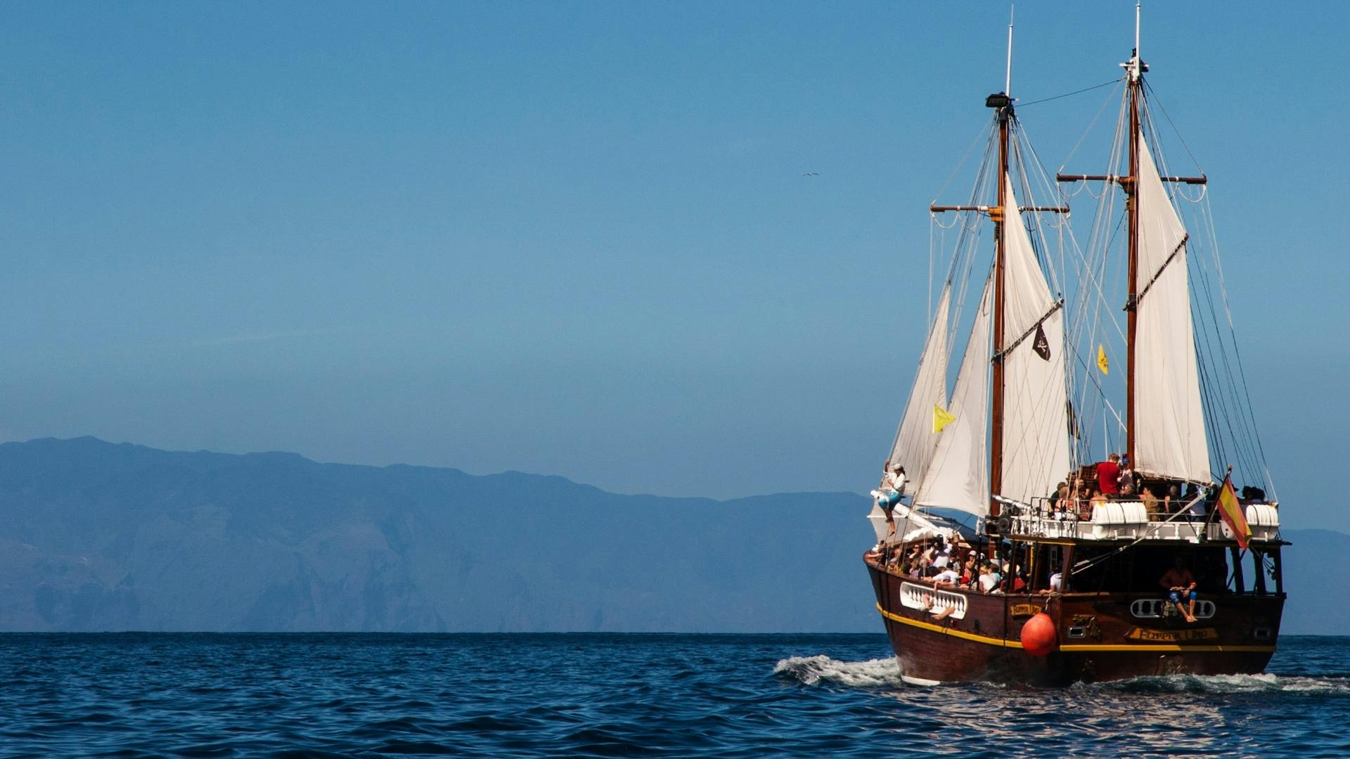 Los Gigantes Flipper Uno dolphin and whale-watching cruise