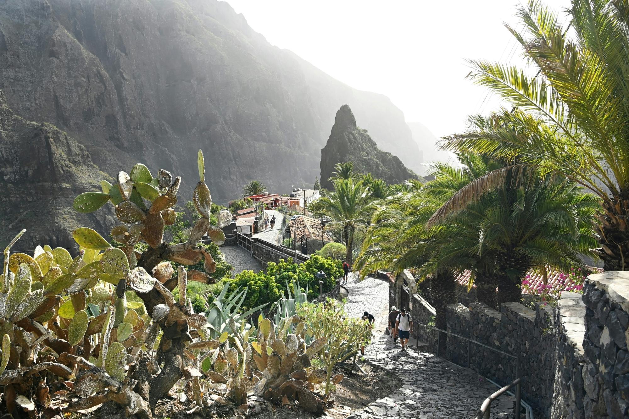 Teide and Masca tour from northern Tenerife