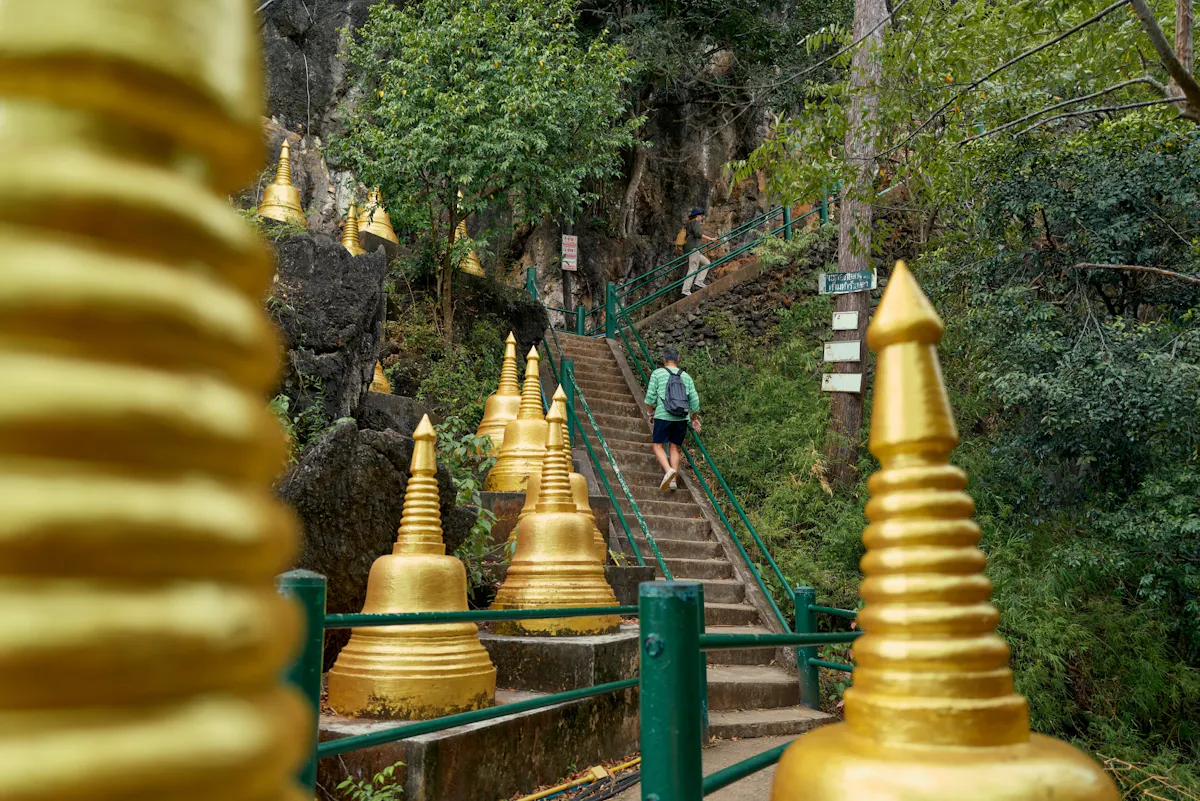 Krabi jungle tour with hot spring and Tiger Cave Temple