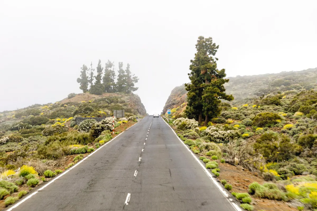 Teide National Park Tour with local guide
