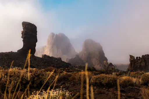 Teide National Park Tour with local guide