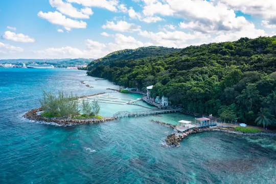 Dolphin Cove Ocho Rios regular tour