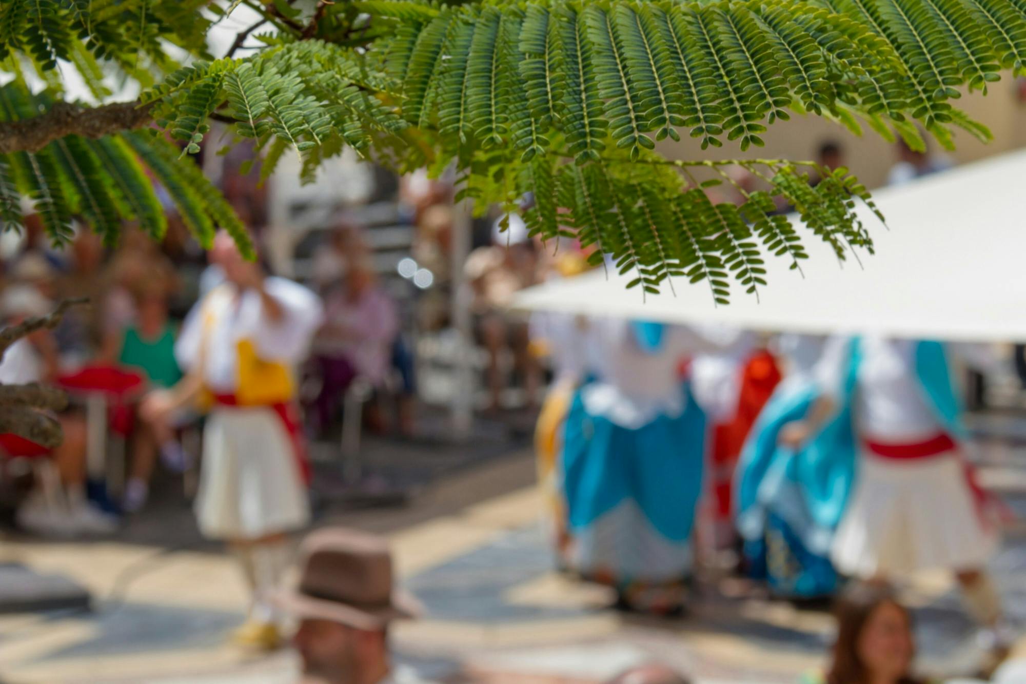 Día de Canarias celebration of folklore and traditions in Vecindario