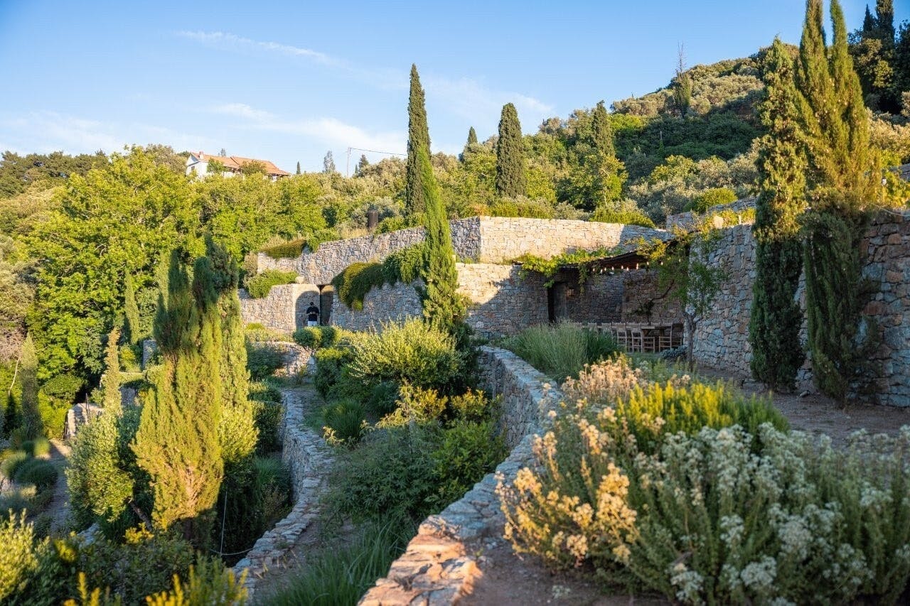 Samos wine and Metaxa-tasting tour