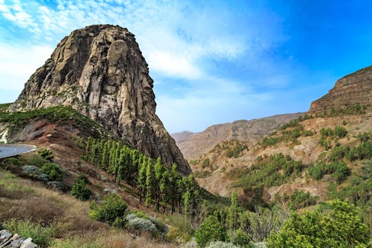 Garajonay National Park Sightseeing Tour with Local Lunch