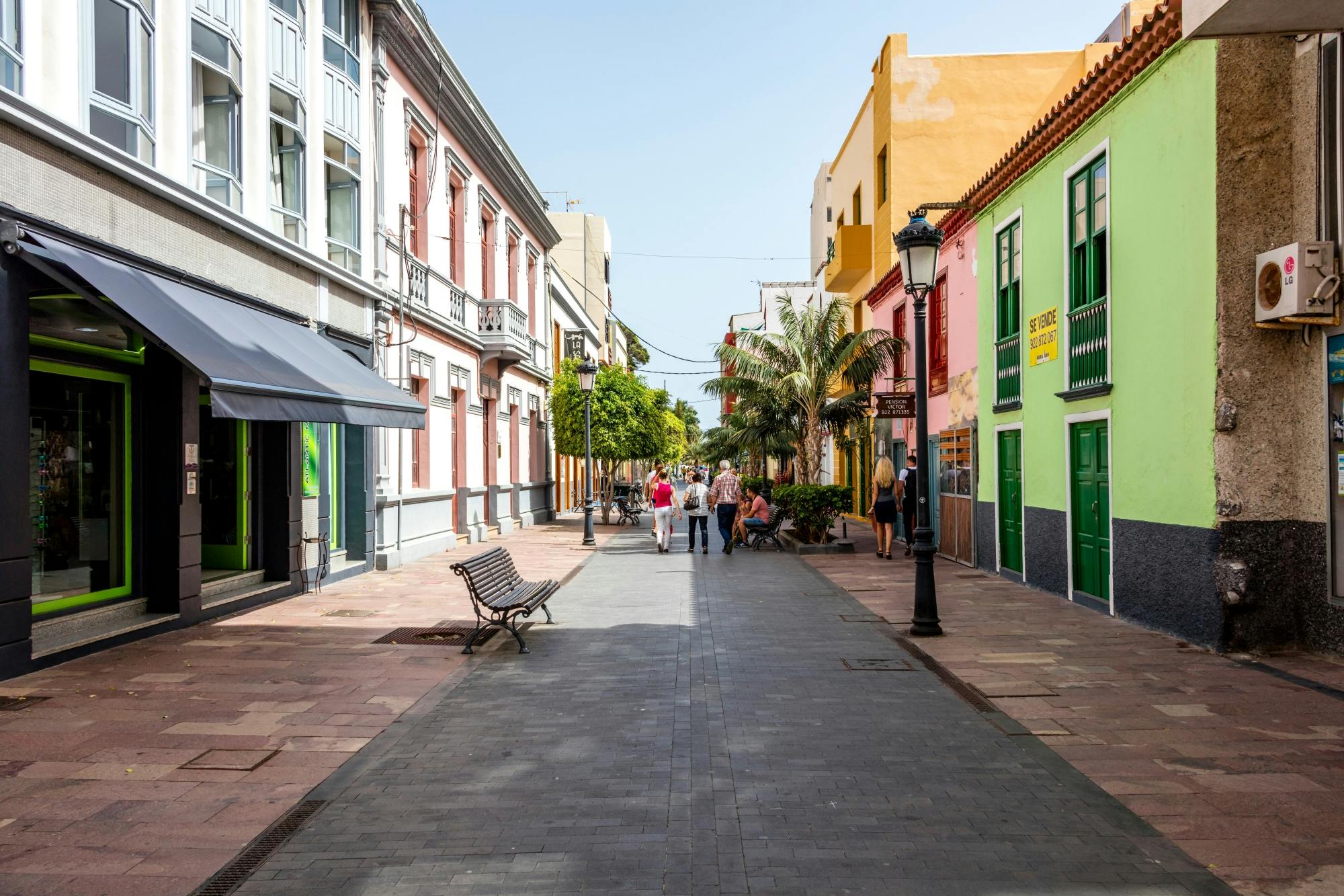Garajonay National Park sightseeing tour with local lunch