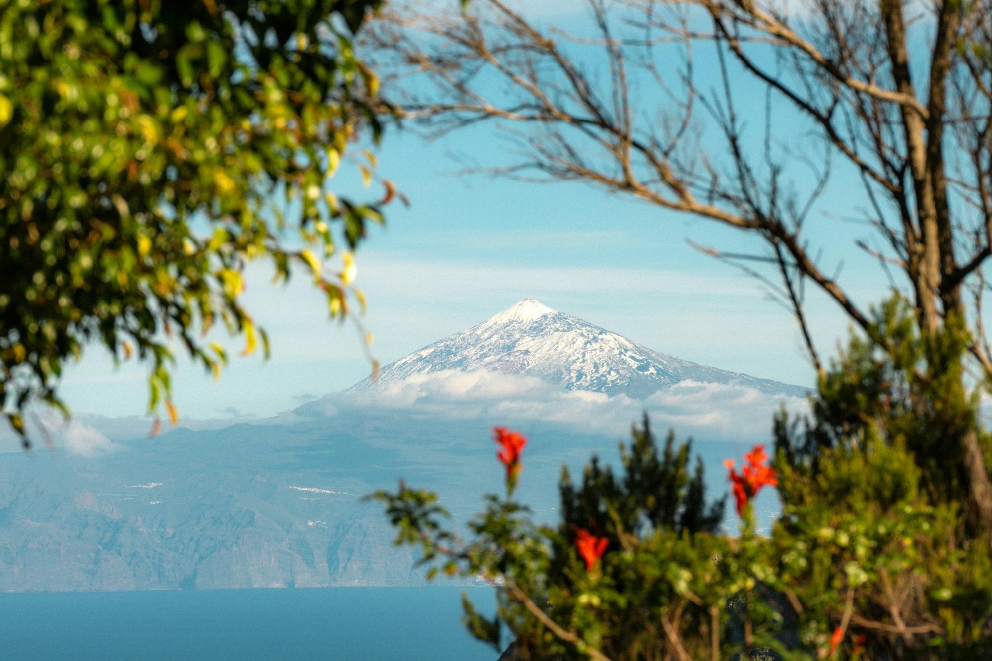 Garajonay National Park sightseeing tour with local lunch