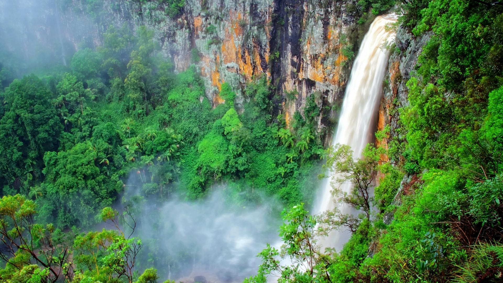Wycieczka do Natural Bridge i Springbrook