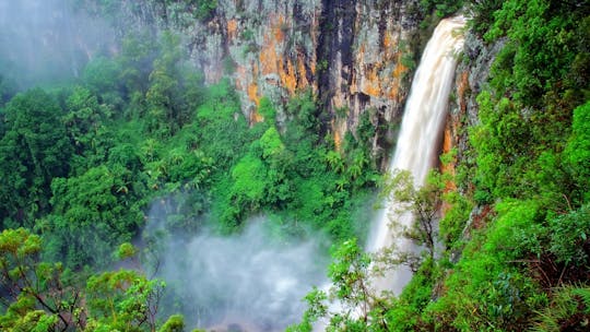 Recorrido por el Puente Natural y Springbrook