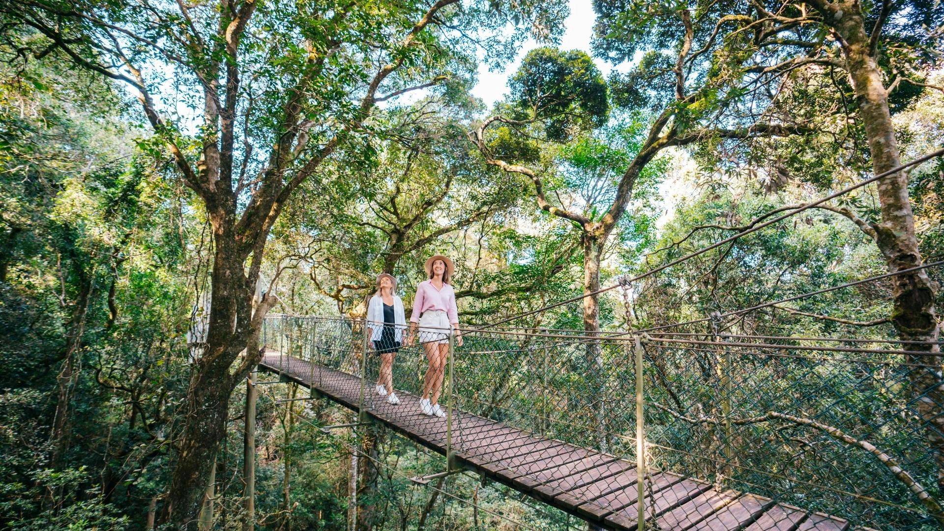 Parque Nacional Lamington, O'Reilly's y recorrido por los viñedos