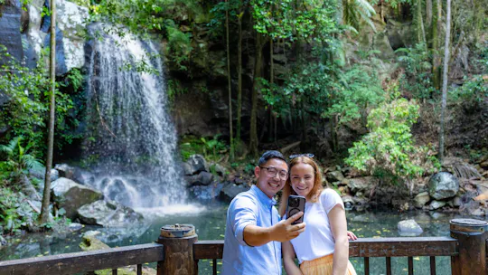 Visite guidée de la forêt tropicale du mont Tamborine et dégustations de produits