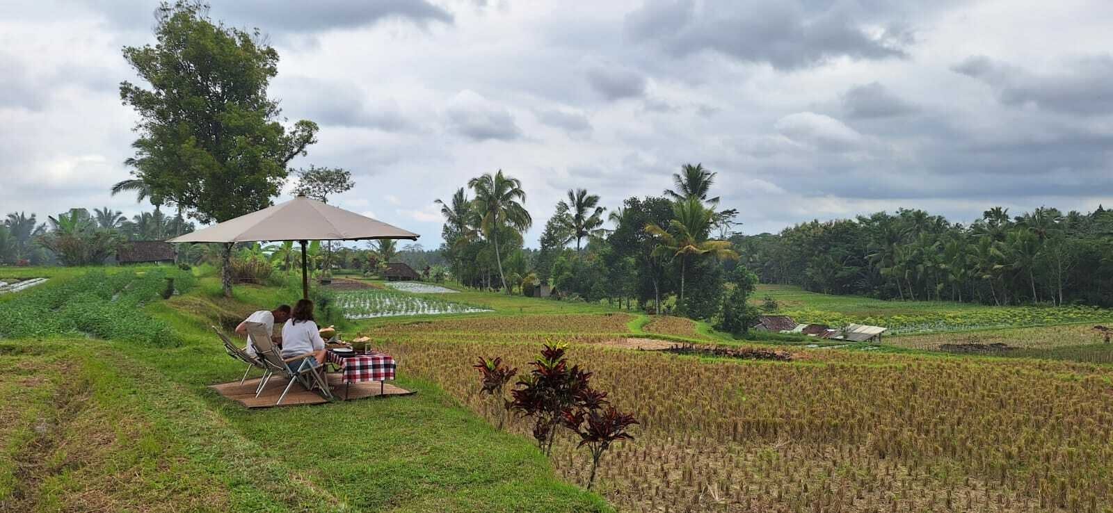 Private full-day experience into authentic Balinese life