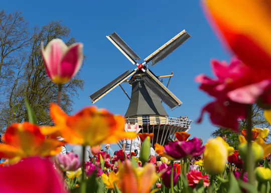 Keukenhof tickets and guided tour with an audio guided transfer
