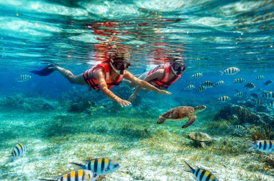 Snorkelling Adventure in Marine National Park with Beachside Lunch