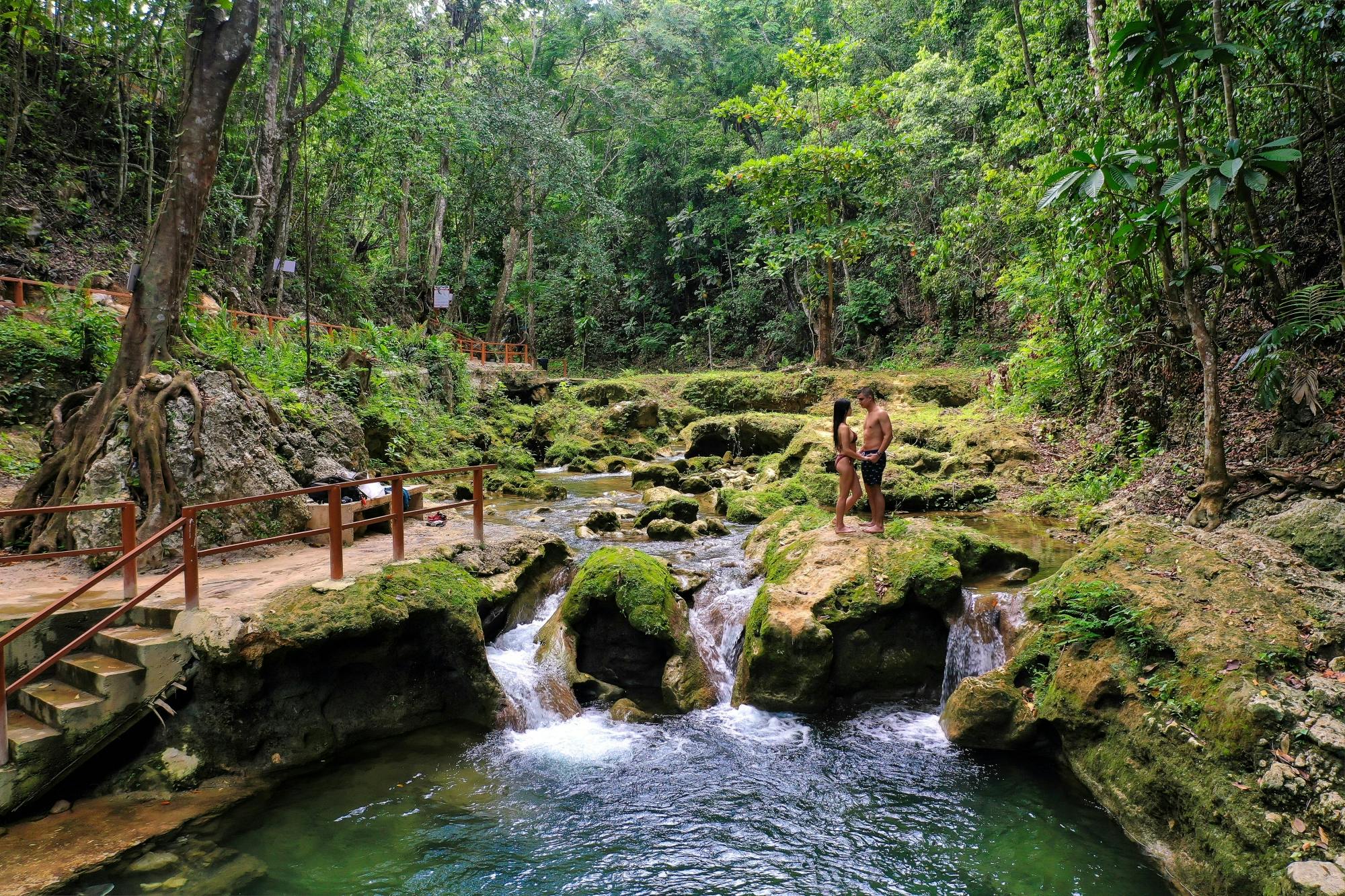 Dolphin Cove Ocho Rios and Yaaman Adventure Park
