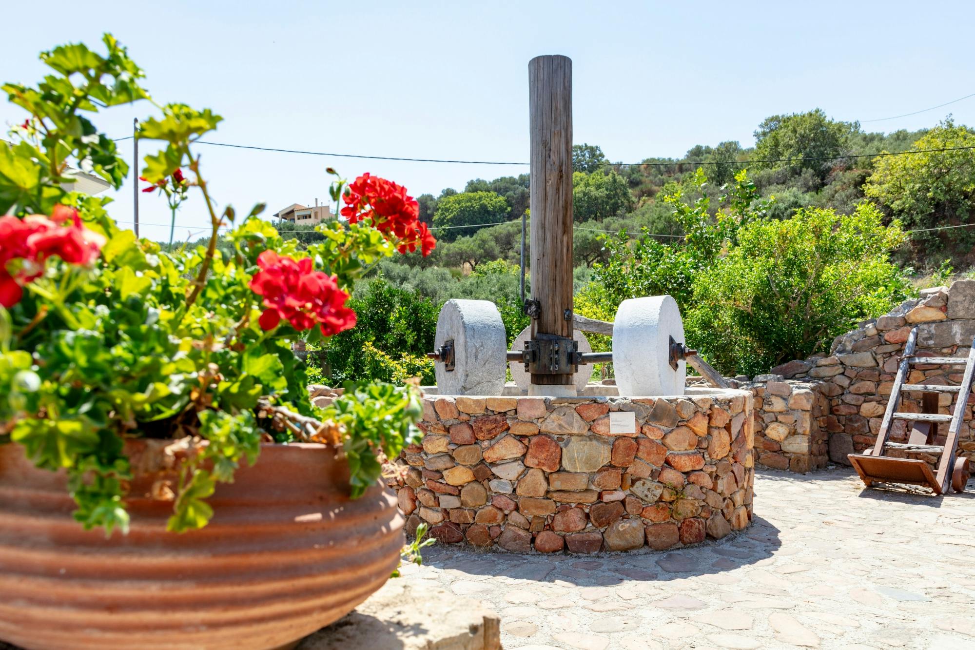 Flavours of Crete 4x4 tour with olive oil mill and winery visits