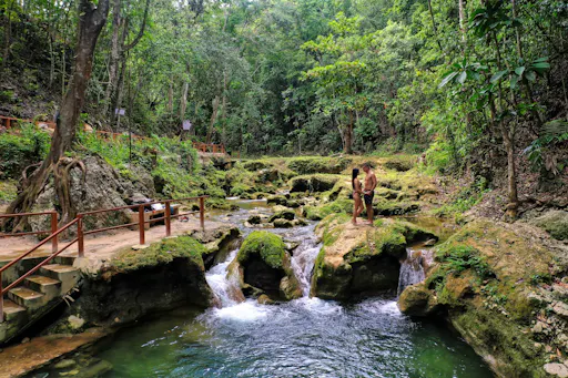 Dolphin Cove Ocho Rios and Yaaman Adventure Park