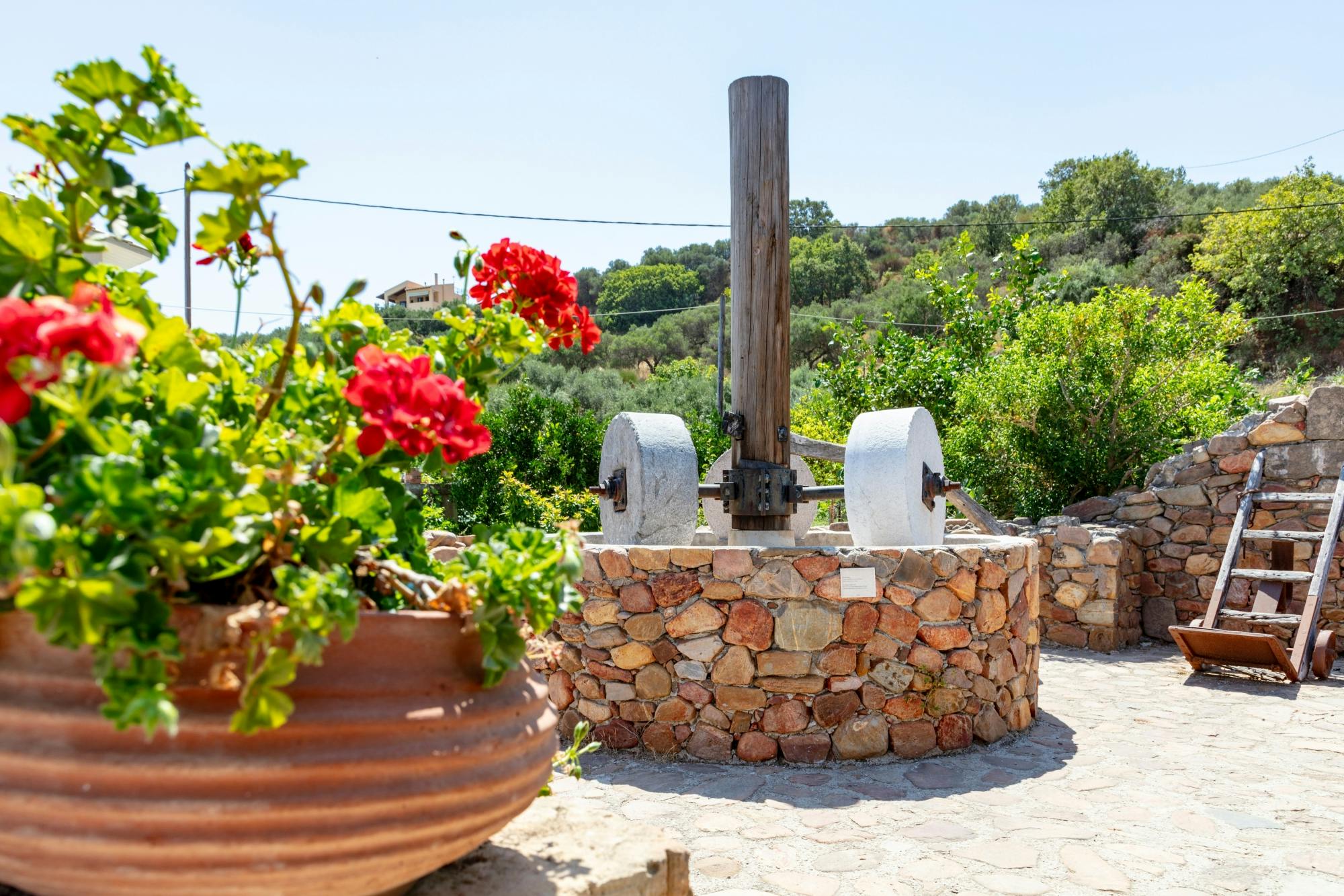 Flavours of Crete 4x4 tour with olive oil mill and winery visits