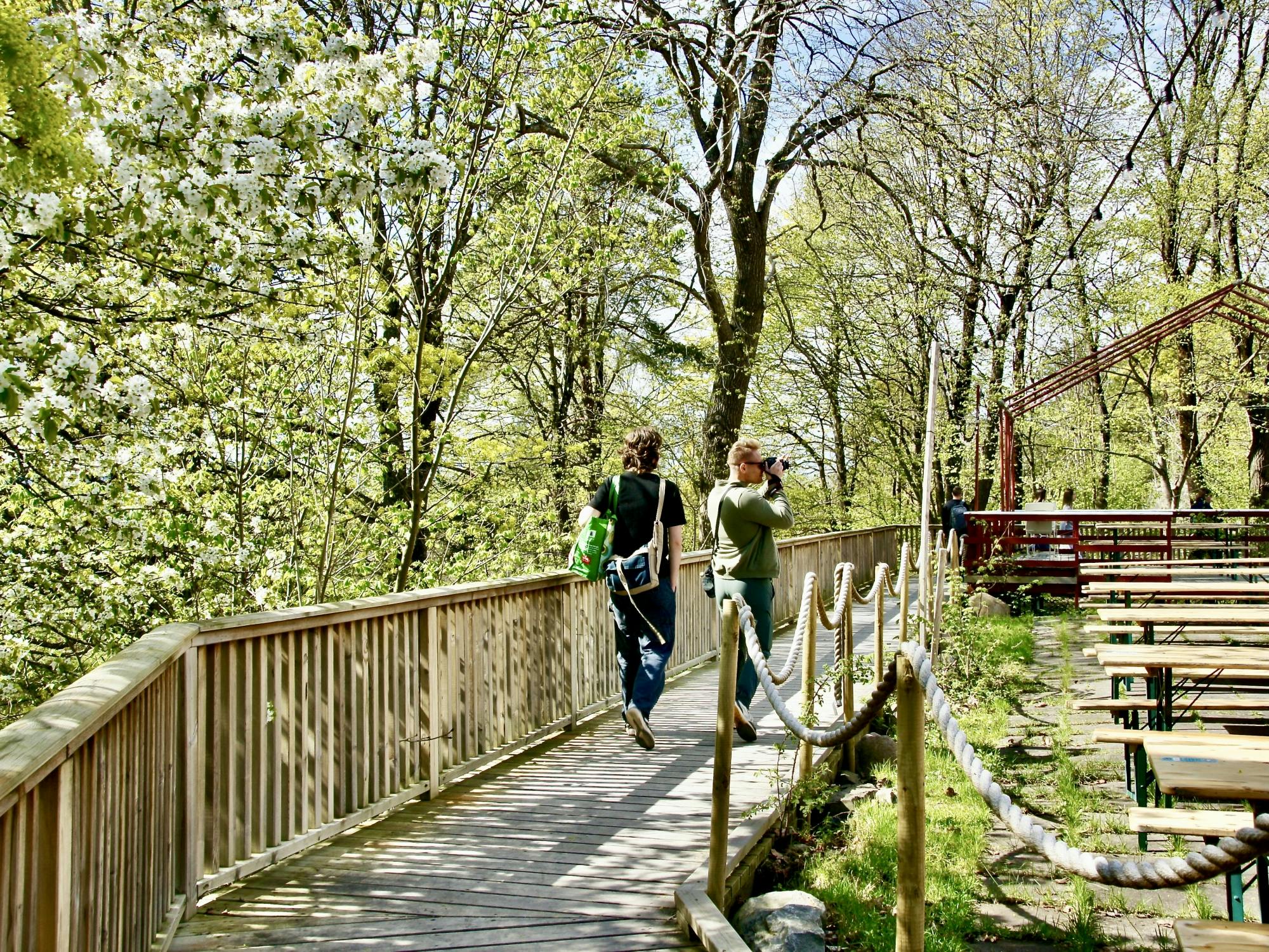 Visita guiada ao fiorde e às pegadas do passado