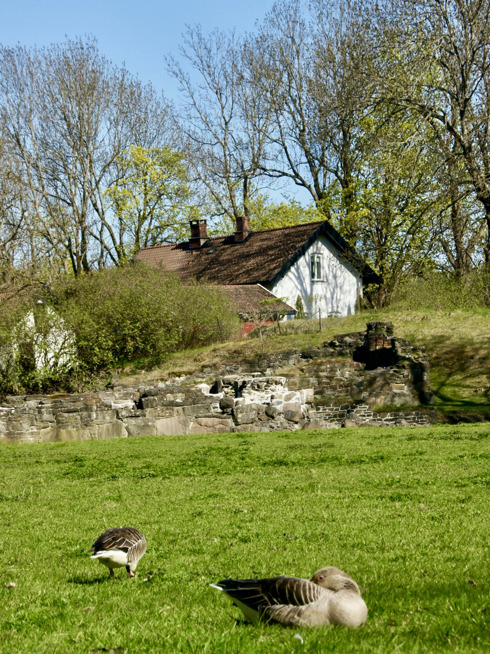 202605266a1551d7d1fa2.jpg