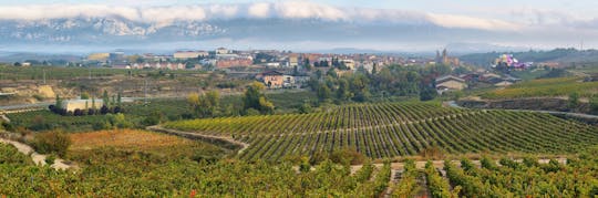Wijnproeverij in La Rioja en Laguardia vanaf San Sebastián