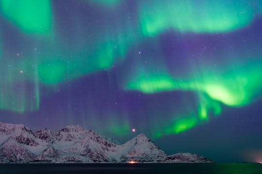 Northern lights Arctic cruise along the Lofoten coast from Svolvær