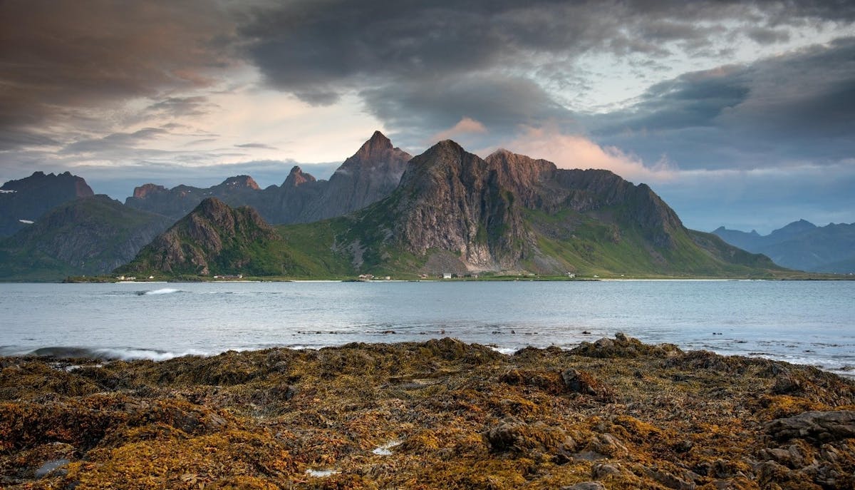 Boottocht langs de kustdorpen van de Lofoten vanaf Svolvær