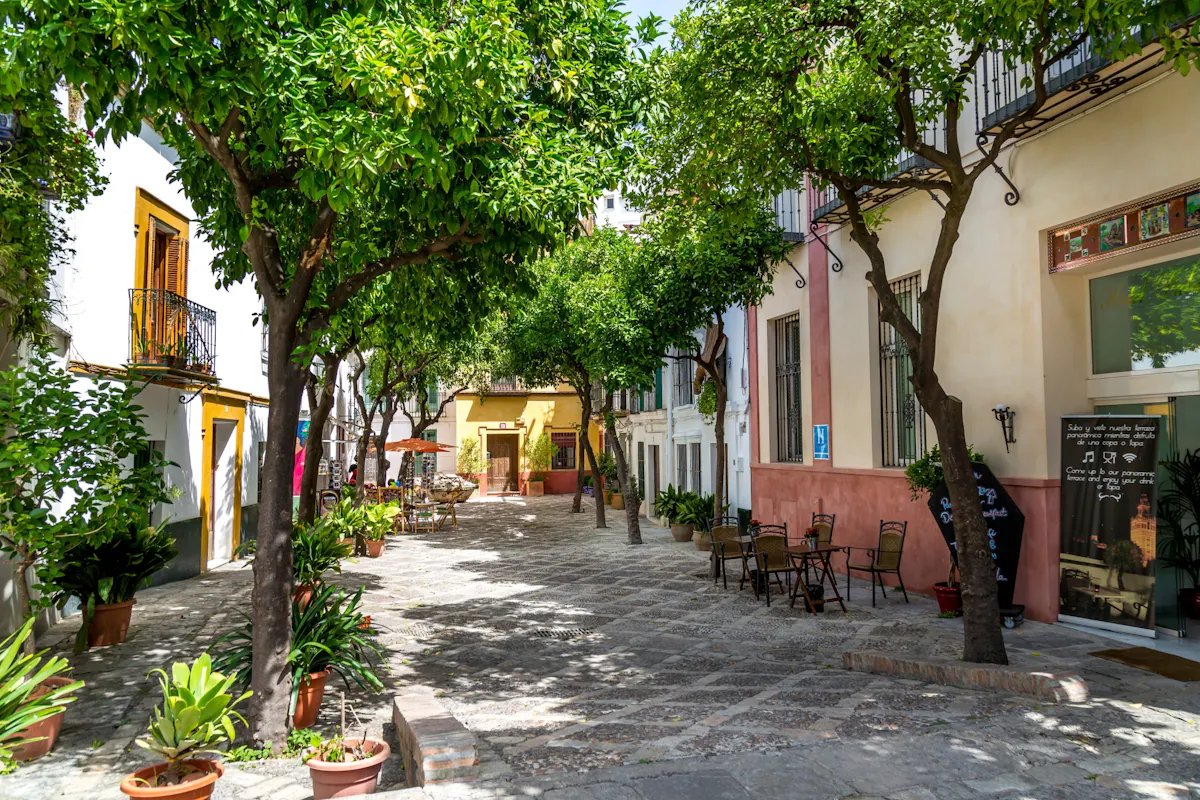 Full-day guided tour of Seville with Casa de Pilatos visit