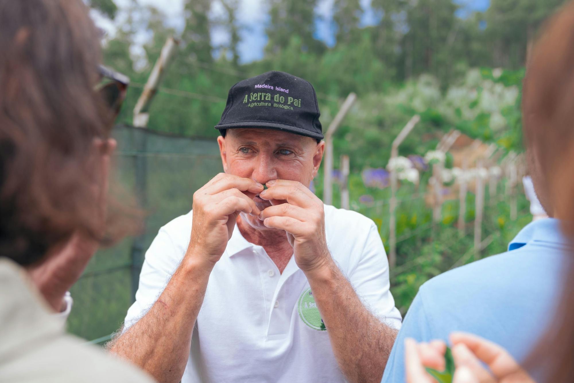 Madeira cultural tour through villages, tradition and local life