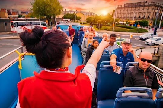 Visite panoramique de Dublin en bus en soirée avec un guide en direct