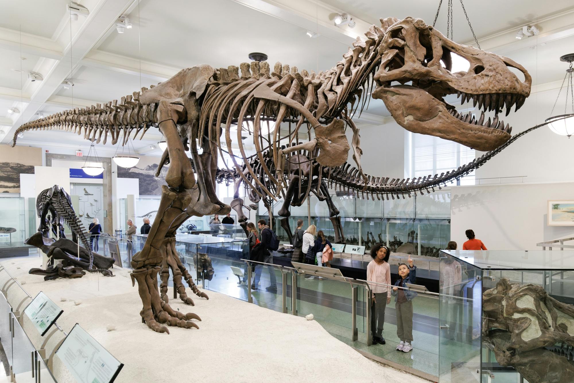American Museum of Natural History admission ticket in New York