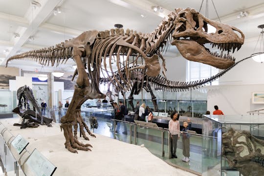 American Museum of Natural History admission ticket in New York