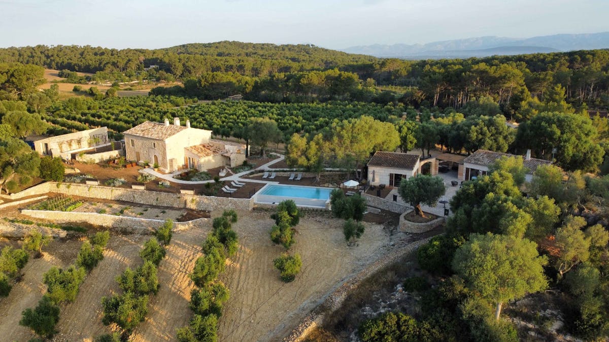 Mallorkaanse olijfolie-avond met gastronomische proeverij