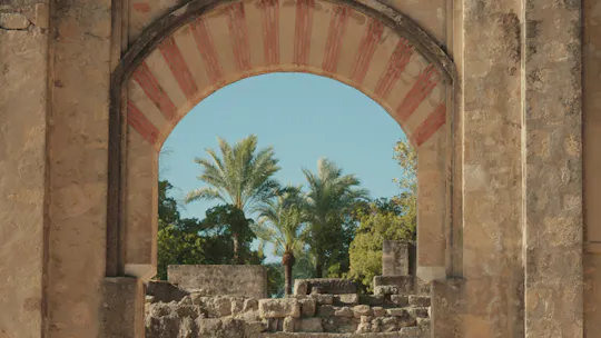 Visita guiada ao sítio arqueológico de Medina Azahara