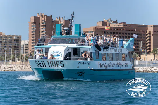 Dolphin watching catamaran cruise along Costa del Sol