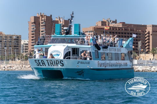 Crucero en catamarán para avistar delfines por la Costa del Sol