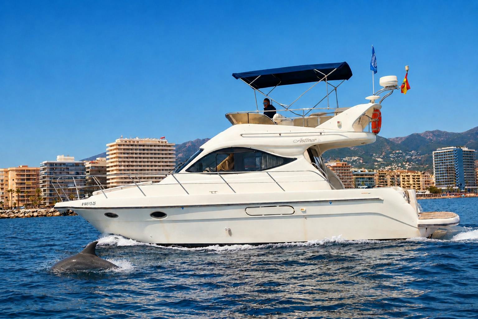 Delfinbeobachtung auf einer luxuriösen Gemeinschafts-Yacht inklusive Getränk