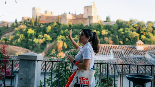 Visita guiada à Alhambra, ao Albaicín e ao Sacromonte