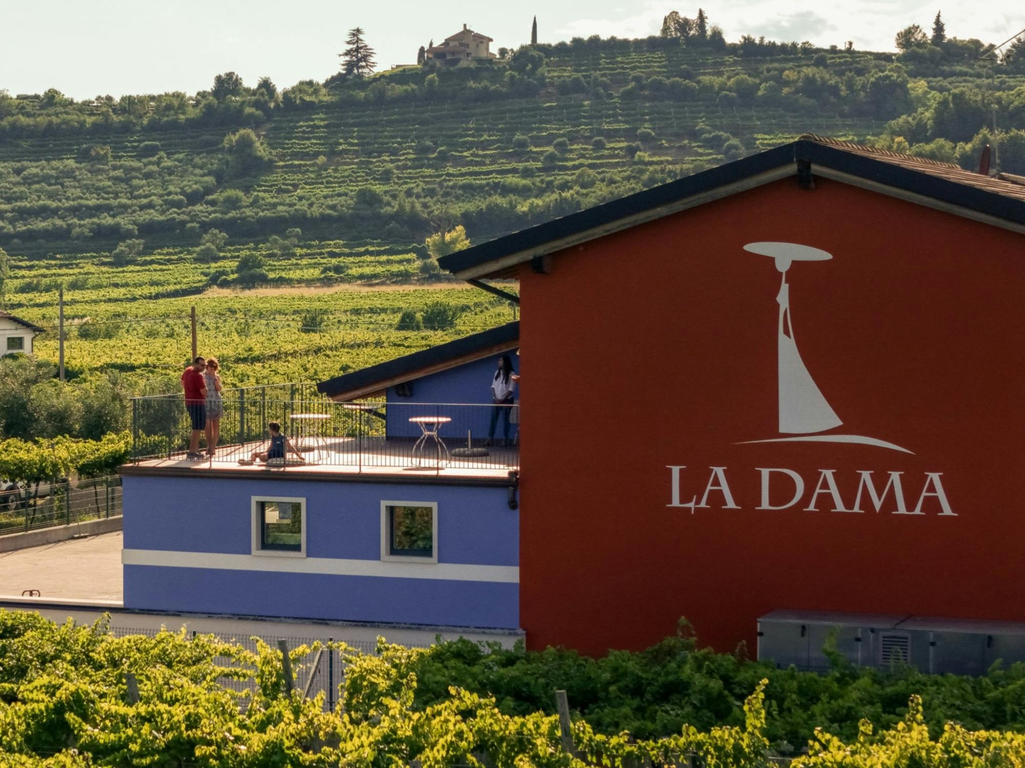 Classic Italian wine-tasting tour of Soave and Valpolicella