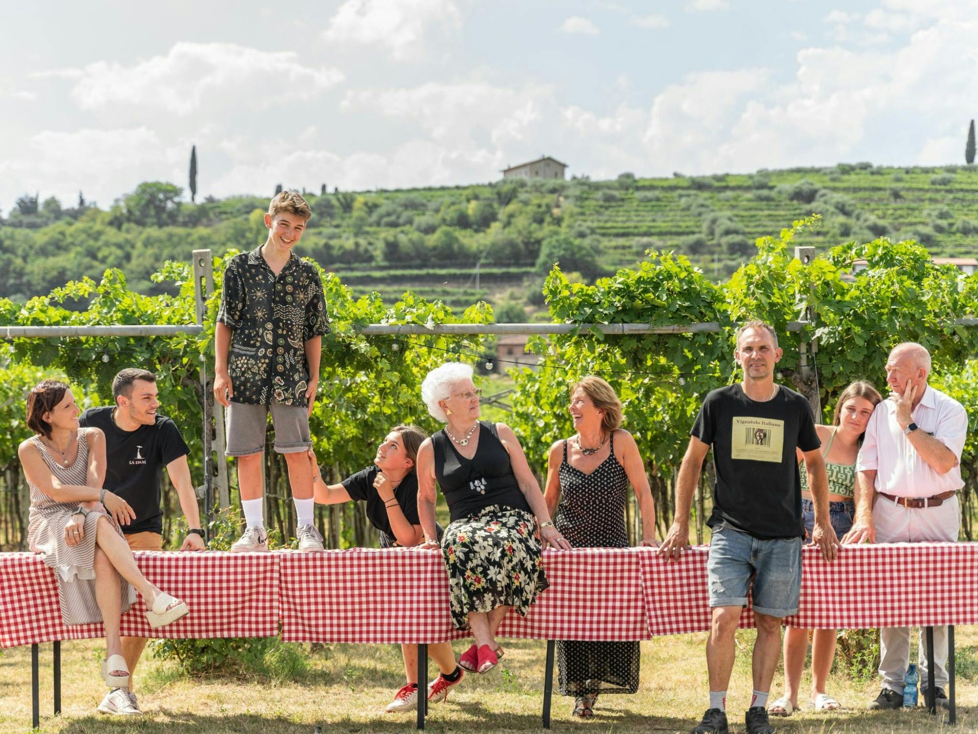 Classic Italian wine-tasting tour of Soave and Valpolicella
