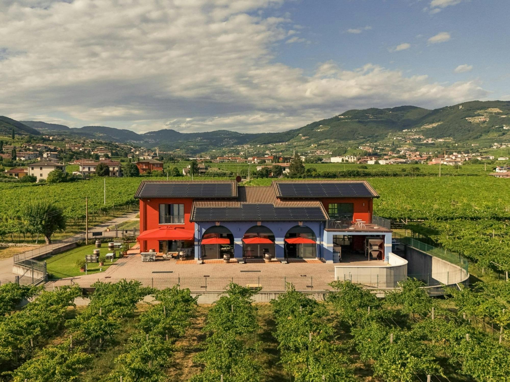 Classic Italian wine-tasting tour of Soave and Valpolicella