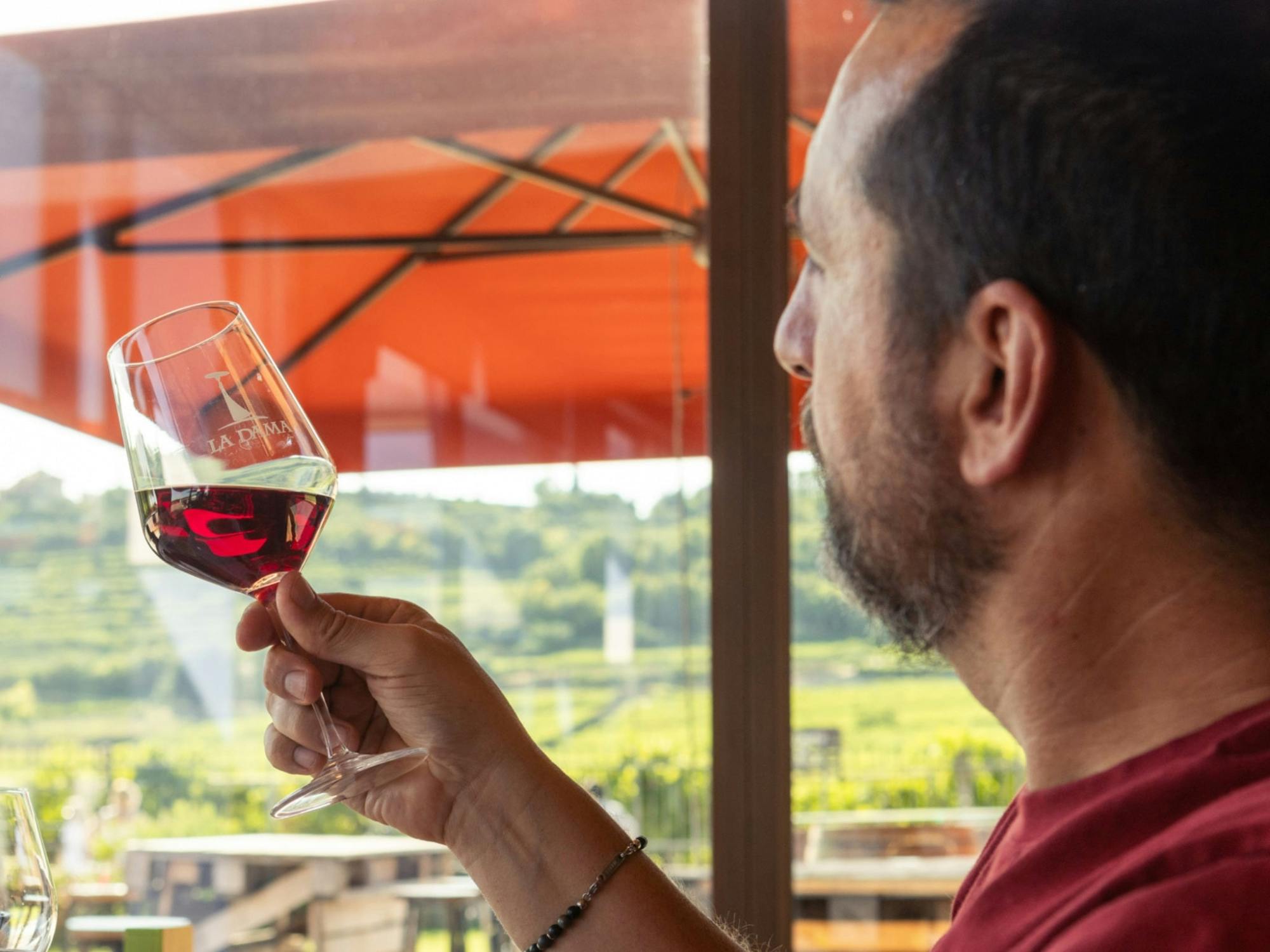 Classic Italian wine-tasting tour of Soave and Valpolicella