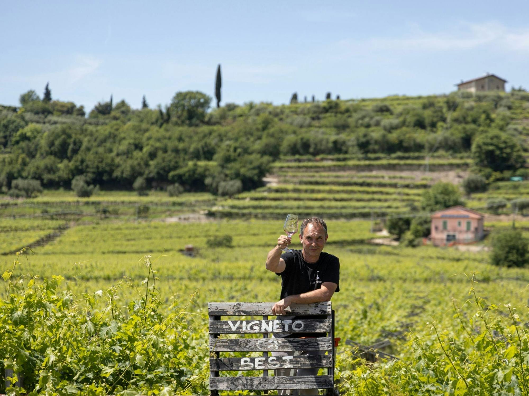Classic Italian wine-tasting tour of Soave and Valpolicella